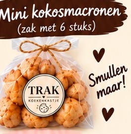 Mini kokosmacronen – zak met 6 stuks